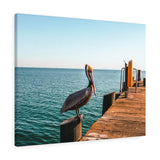 Santa Barbara Pelican Premium Wall Canvas
