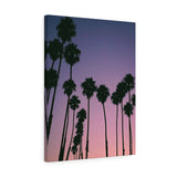 Santa Barbara Palm Trees Premium Wall Canvas